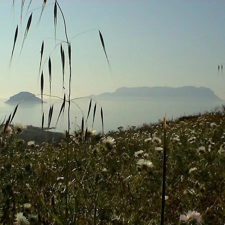 Ginestra Apartamento Golfo Aranci